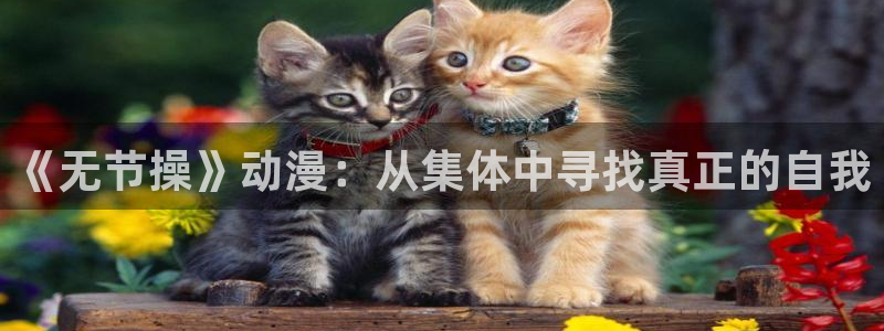 58动漫网站官网免费下载