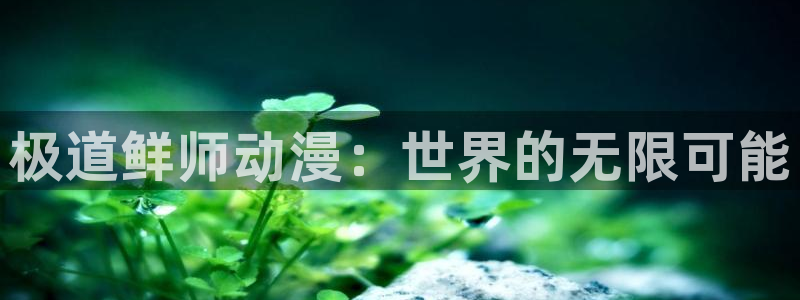 58动漫网 免费：极道鲜师动漫：世界的无限可能