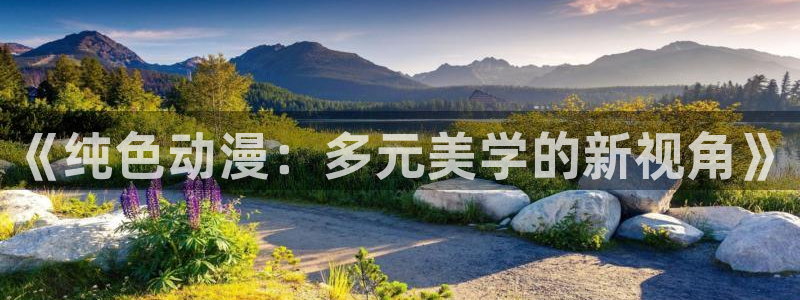 58动漫网手机版下载：《纯色动漫：多元美学的新视角》