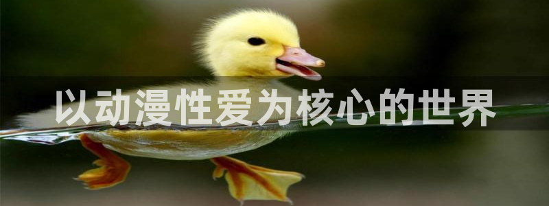 58动漫在线：以动漫性爱为核心的世界