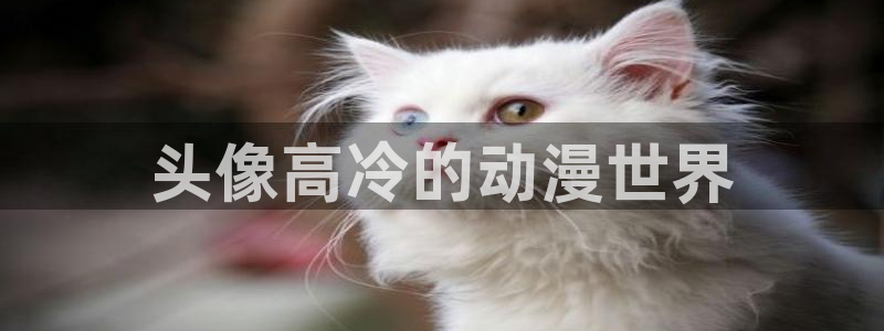 58动漫网站官网免费下载：头像高冷的动漫世界