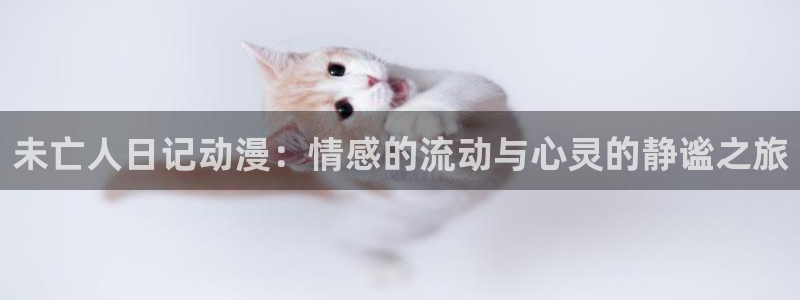 58动漫官网：未亡人日记动漫：情感的流动与心灵的静谧之旅