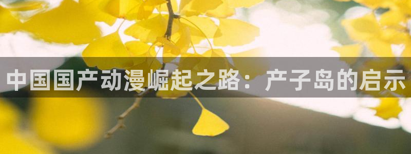 58动漫在线免费观看：中国国产动漫崛起之路：产子岛的启示